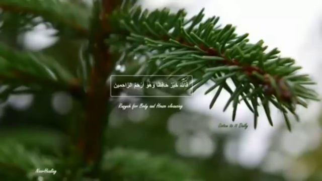 ✔Слушайте Мощное РУКЪЯ для очищения Тела и Дома от Шайтана.Powerful Ruqyah смотреть онлайн