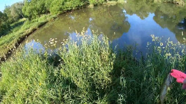 Щучки в МУТНОЙ ВОДЕ смотреть онлайн