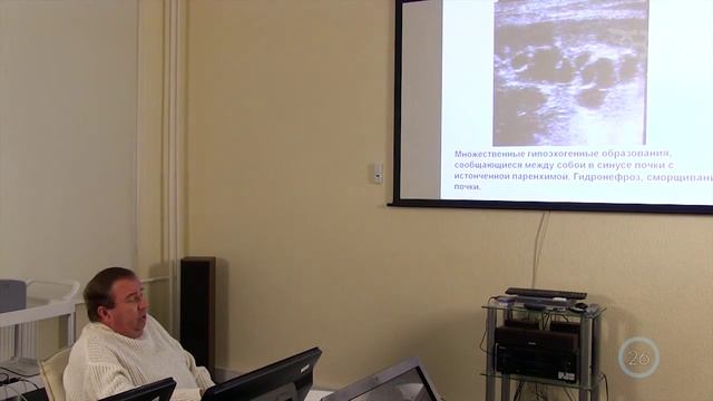 Ультразвуковые исследования в уронефрологии.mp4 смотреть онлайн