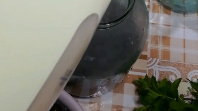 Невероятно вкусный компот из шпанки ( вишня ). смотреть онлайн
