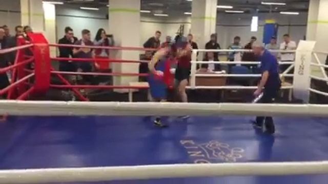 Бокс. Дмитрий Прокопишин (в синей форме),открытый ринг,Кинг,г.Харьков,6.03.2016г.,3-й раунд смотреть онлайн