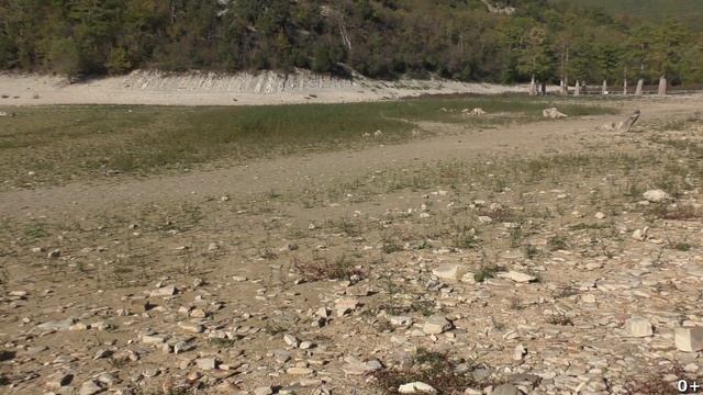 Прогулка по лесу. Осенние кипарисы. Сукко 0+ смотреть онлайн