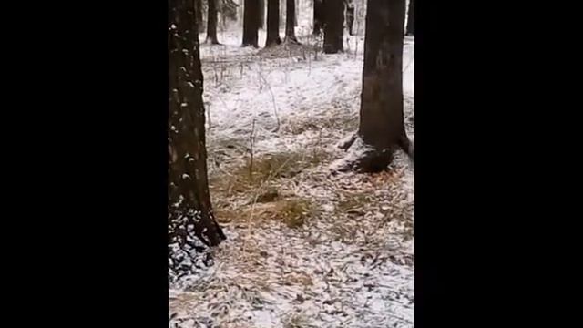 Вот такое моё доброе утро!!! смотреть онлайн