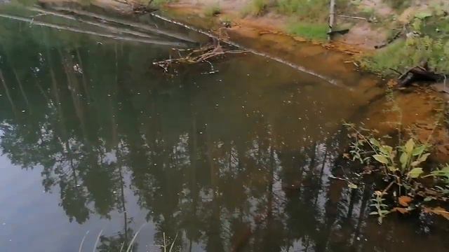 #солнце #готовлю#капуста #река #рыбалка смотреть онлайн