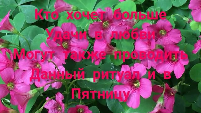 РИТУАЛ НА УДАЧУ!!! ВО ВСЕХ СФЕРАХ ЖИЗНИ смотреть онлайн
