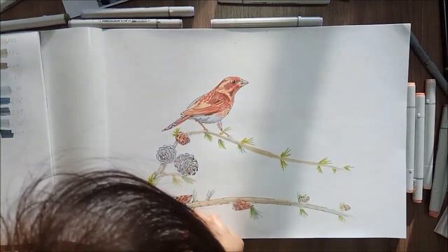 Птица маркерами | Скетч в смешанной технике смотреть онлайн