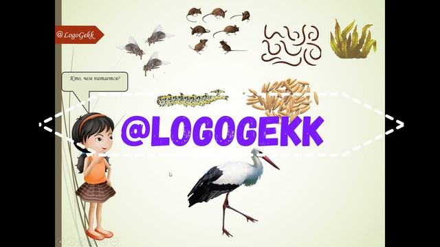 Обзор Перелетные птицы