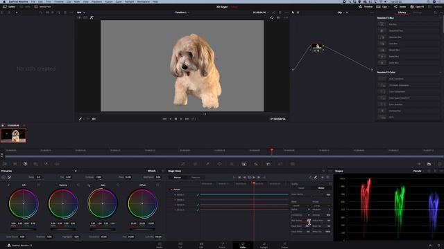 Remove background without green screen with the Magic Mask in DaVinci Resolve Studio 17. смотреть онлайн