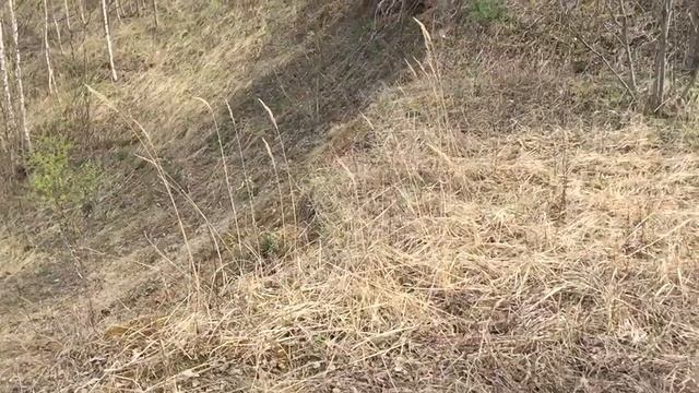 КТМ прыжок 2