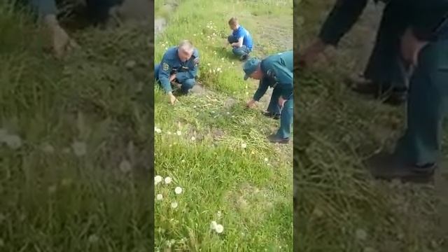 МЧС стрижка газона смотреть онлайн