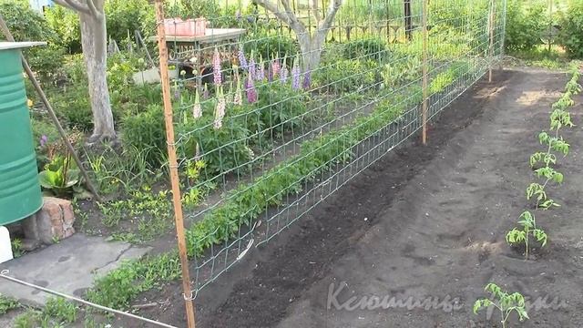 ВОТ И ЛЕТО ПРИШЛО смотреть онлайн