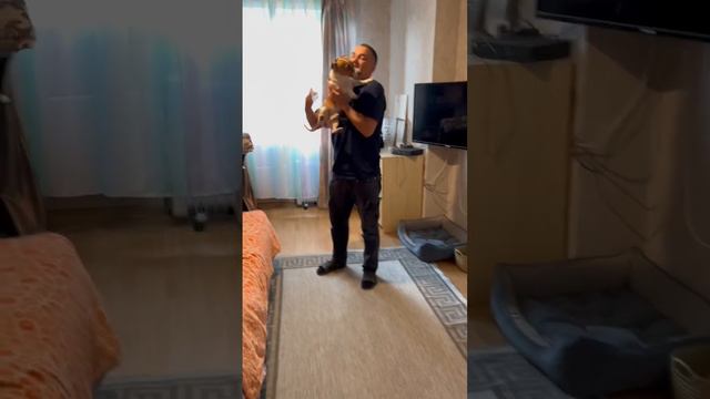 Шарики / Часть 3 смотреть онлайн