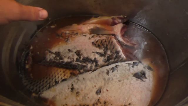 Научные Эксперименты