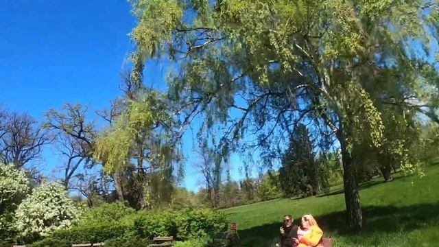 Парк Александрия. Белая церковь. смотреть онлайн