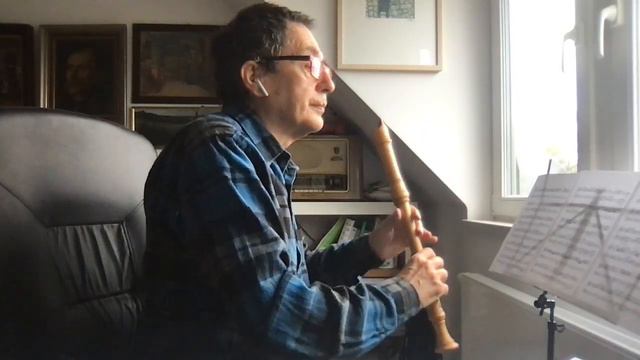 G. P. Telemann Sonata in F minor for alto recorder and bass, 1 Triste 2 Allegro, A=415 смотреть онлайн