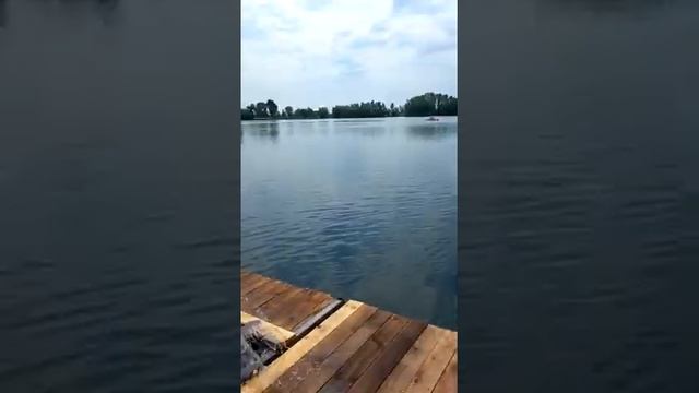 триморан с мотором смотреть онлайн