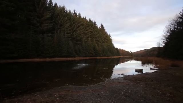 10 советов начинающему пилоту. Как не потерять и не разбить свой коптер?