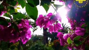 Мощнейшая Мантра убирает врагов и возвращает негатив.