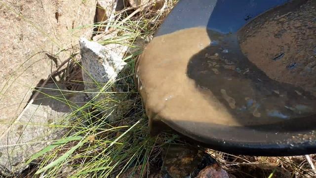 Мелодии Воображения