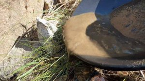 КАК НАЙТИ И ОПРЕДЕЛИТЬ ЗОЛОТО В КАМНЕ