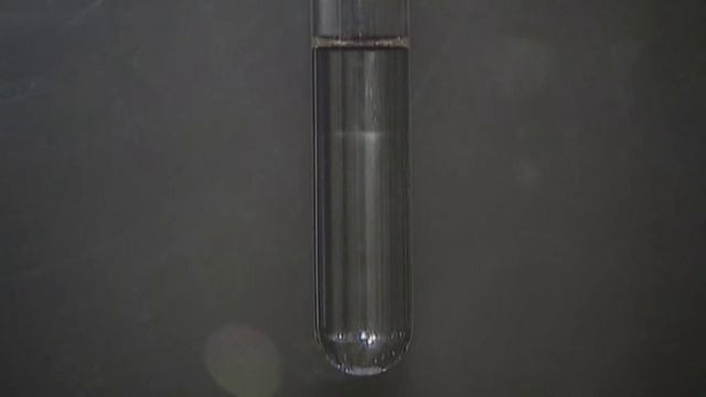 Could we clone a neanderthal? - Truthloader Investigates смотреть онлайн