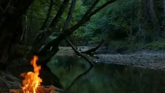 # заговор на хлеб и деньги # смотреть онлайн