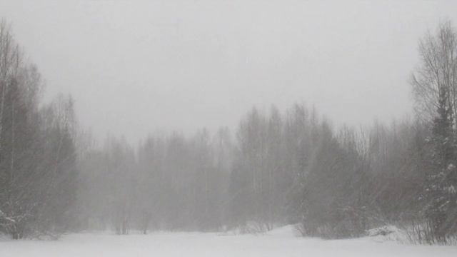 Сводка ПРИРОДЫ за декабрь 2022г смотреть онлайн