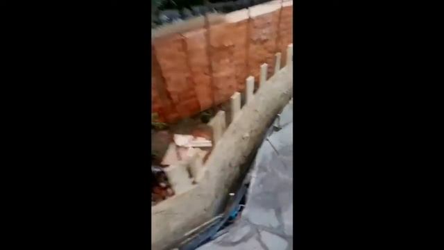 Реконструкция зоны барбекю