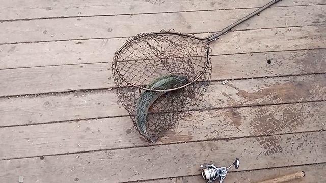 РК МАРЛИН смотреть онлайн