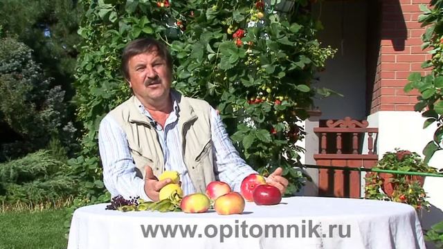 Вертикальный способ выращивания клубники смотреть онлайн