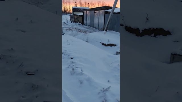 "Должностной беспредел" Амурская область, Благовещенский район, село Усть-Ивановка. смотреть онлайн