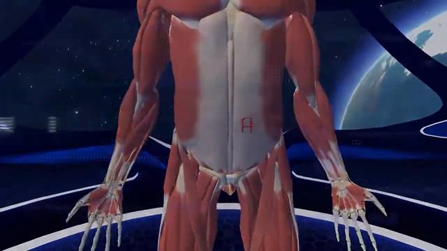 PSVR Human Anatomy | Анатомия человека | VR GAMECLUB смотреть онлайн