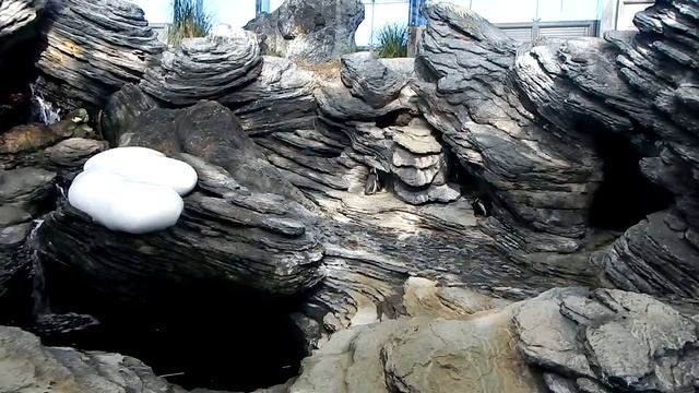 Океанариум в Лиссабоне 14 смотреть онлайн