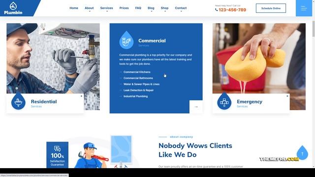Plumbio - Plumbing Services WordPress Theme handyman repair Sayaka смотреть онлайн