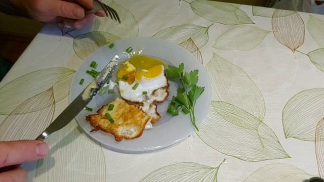 Иишница из утиных яиц. Сальмонеллёз?