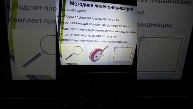 Лишайники как биоиндикаторы чистоты воздуха. смотреть онлайн