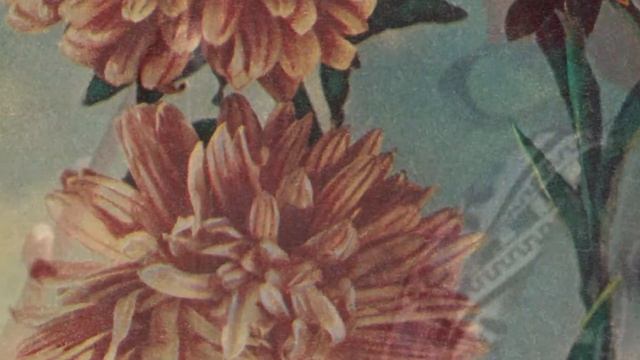 mix postcards - куклы, цветы и земляника, астры, ромашка и маки, снеговик и лыжник, Мама пришла! смотреть онлайн