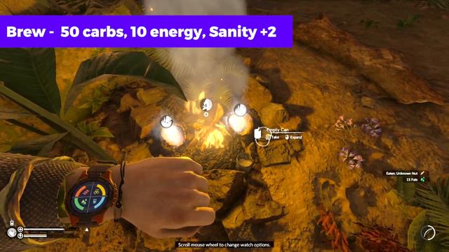 GREEN HELL BEGINNER GUIDE: HERBS AND FRUITS (2020) смотреть онлайн
