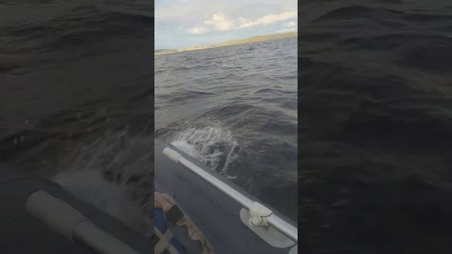 Аква 360 ямаха 8 по волнам смотреть онлайн