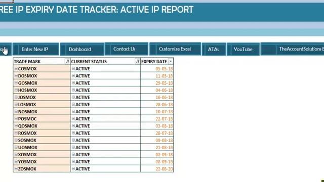 How to Track Expiry Dates of IPs on Excel смотреть онлайн
