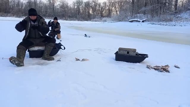 Первый лед 2023-2024.! Наловили целую кучу Окуней.!!! Всем бы такой рыбалки!! смотреть онлайн