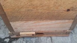 8ми рамочный улей Рута. Улей КУКА.