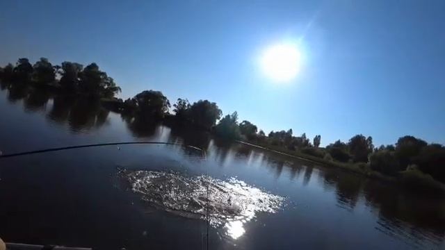 ЩУКА НА САМОДЕЛЬНУЮ БЛЕСНУ ИЗ ЛОЖКИ КАК В ДЕТСТВЕ!!!#SergeiBryanskFishStory смотреть онлайн