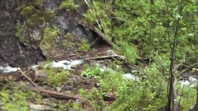 Чинжебский водопад 2 смотреть онлайн