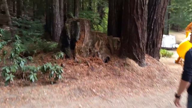 Gerber tomahawk смотреть онлайн