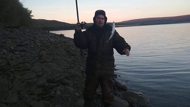 Лучшие фидерные оснастки.Как ловить на фидер.Асимметричный монтаж для фидера.Петля Гарднера.