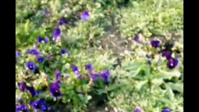 01. Екатеринбург. Осень 2011..mp4 смотреть онлайн