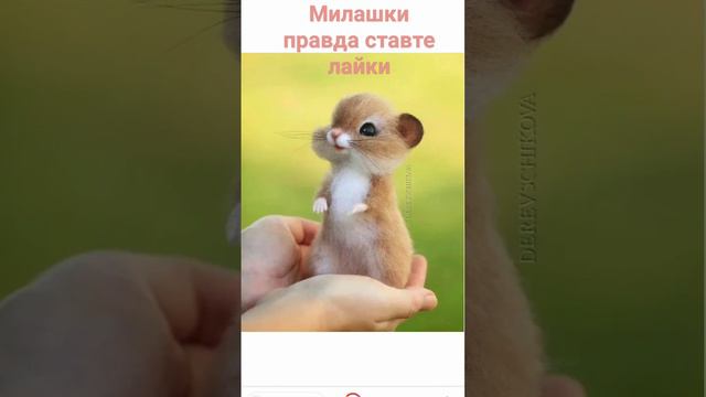 31 июля 2023 г. смотреть онлайн