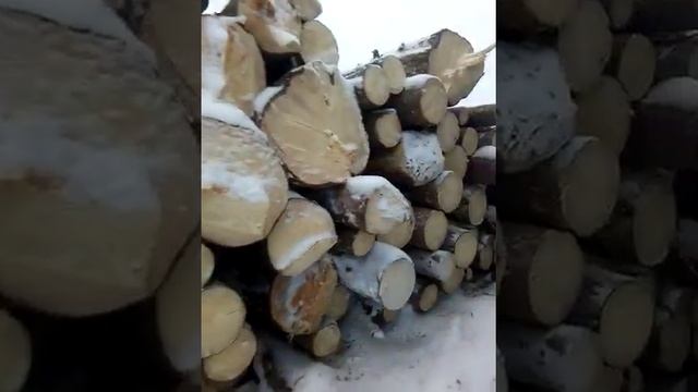 Лес 400 кубов отборного леса смотреть онлайн