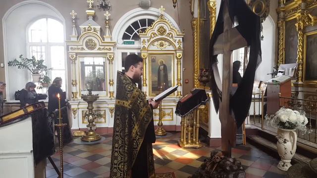 Днесь висит на древе. 2019 смотреть онлайн